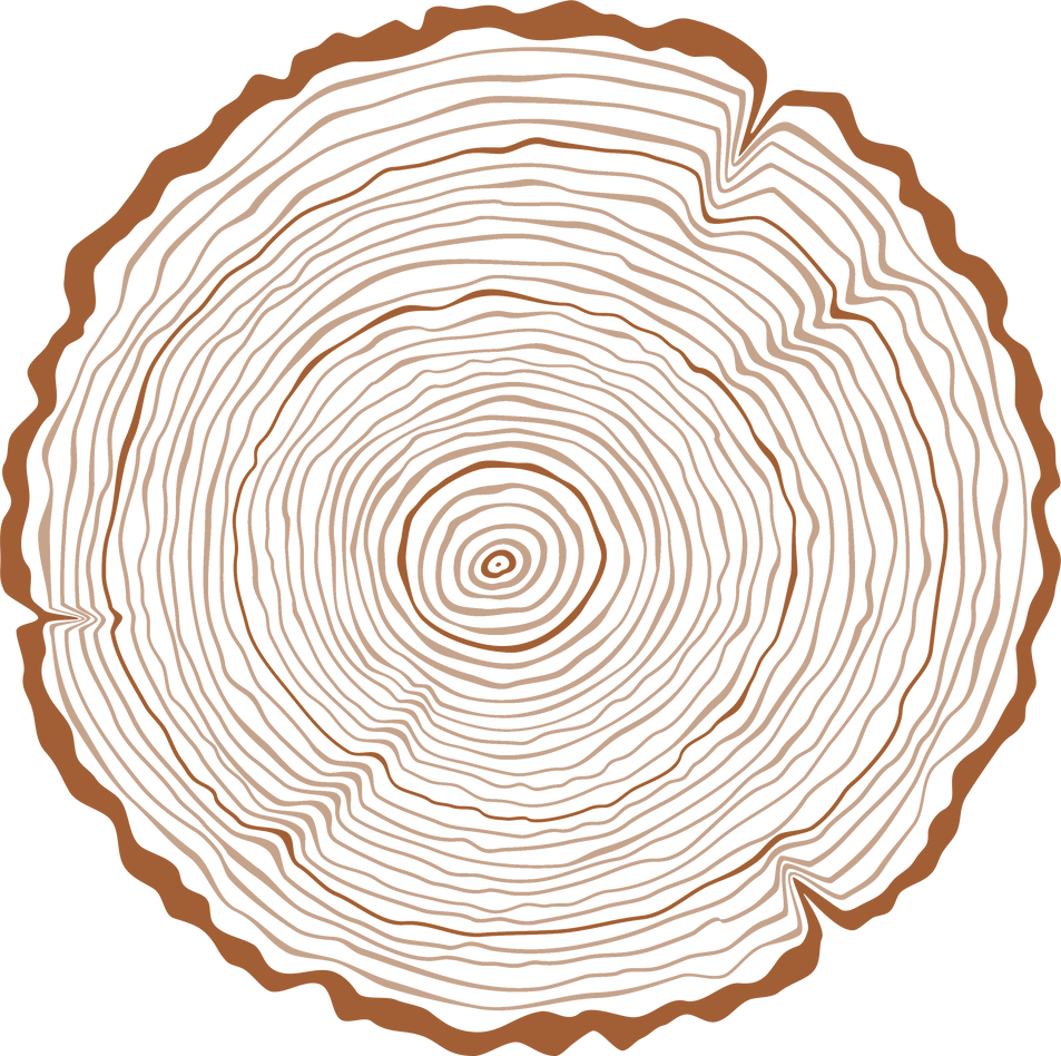 A graphic of the rings of a tree stump showing a darker outer ring for each decade of donors at the California State Parks Foundation