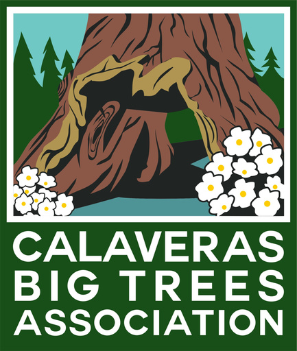 calaveras big trees association logo